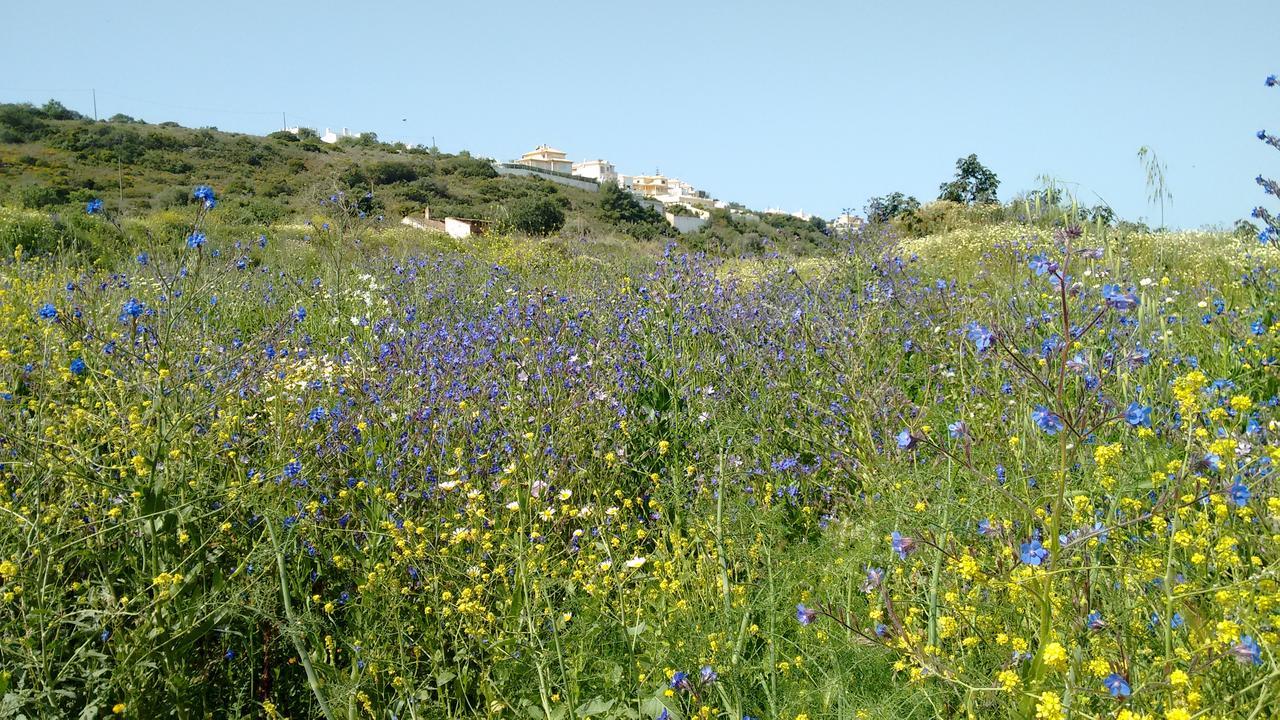 Casa Cereja 'Adults Only' Bed & Breakfast Albufeira Bagian luar foto