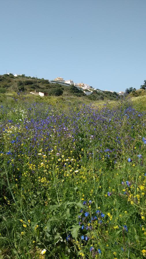 Casa Cereja 'Adults Only' Bed & Breakfast Albufeira Bagian luar foto